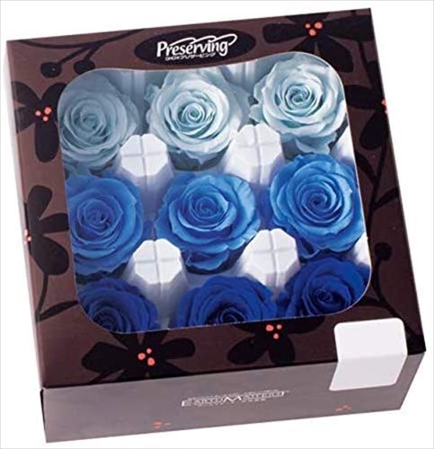 Amazon｜大地農園 日本製 プリザーブドフラワー ローズ かのん M